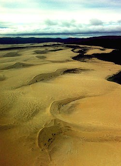 Ariel view of sand dunes surrounded by forest