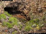 Cave Collapse Trench