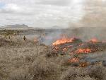 Starting the Fire