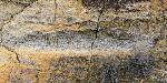 petroglyphs