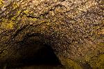 cave bacteria