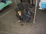virtual caving