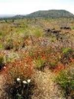 \\Inplabe72391nas\image library\Best Photos\Flowers landscape view of Caldwell from Cave Loop