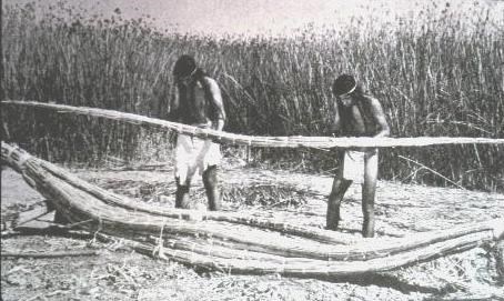 Two men handle bundles of tule reeds