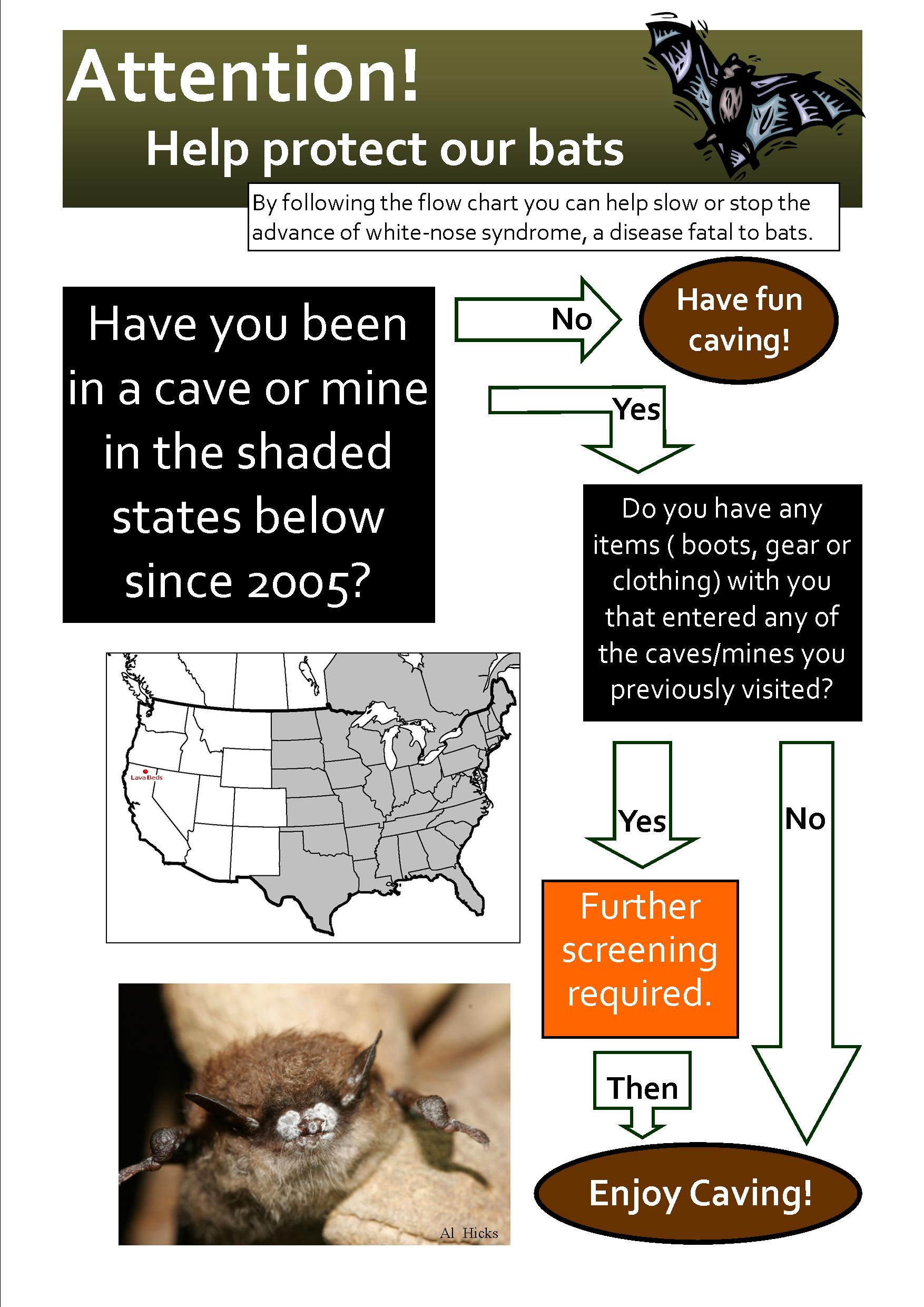 flowchart for screening FINAL