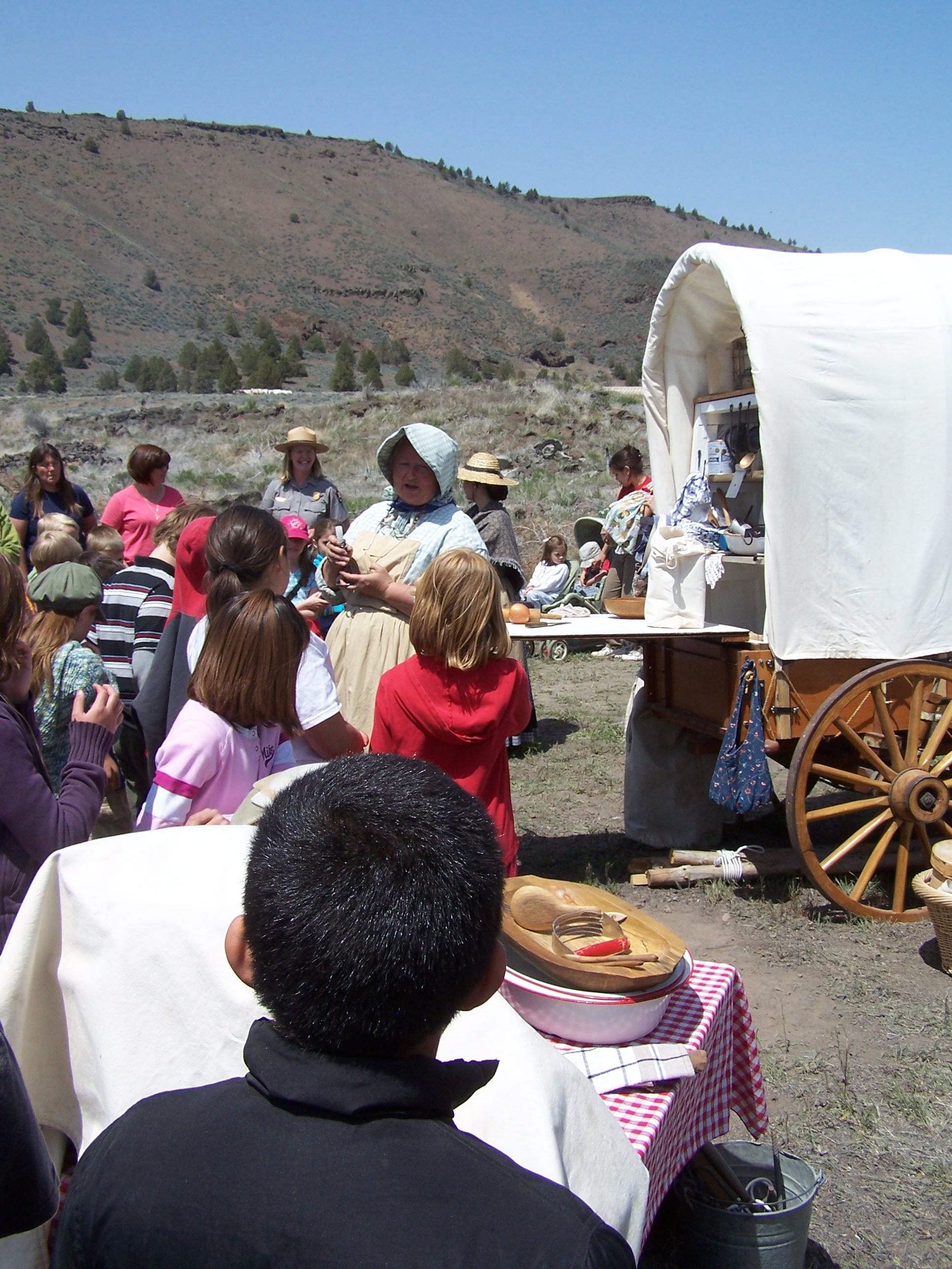 horse and carriage society