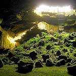 The entrance to Fern Cave