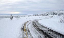 Snowfall on the park road