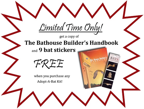 Limited Time Only