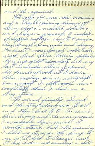 page of a handwritten journal