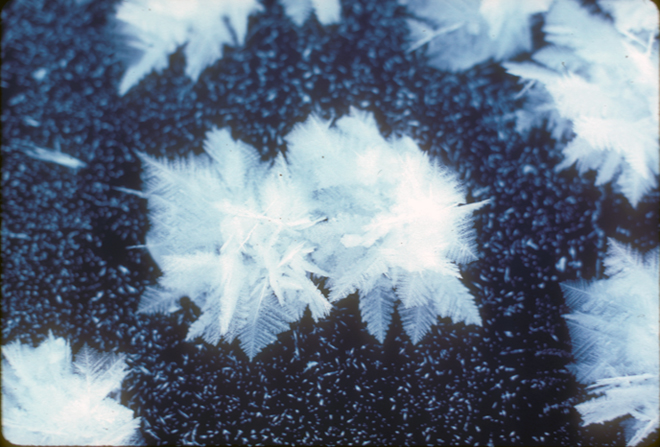 closeup of snowflakes on a frozen pond