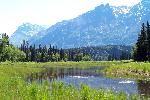 A stream near Little Lake Clark.