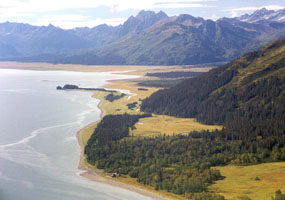 Chinitna Bay is a prime bear-viewing location.