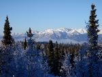 View from the Tanalian Falls Trail in Port Alsworth, Alaska.