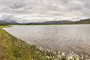 Snipe Lake