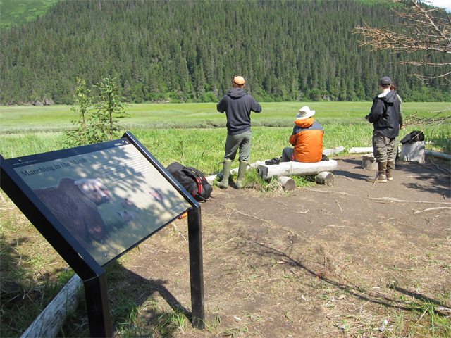 Chinitna Bay Bear Viewing Site