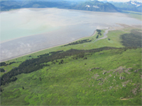 Chinitna Bay from the airair.
