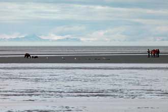 bear viewers on beach at Silver Salmon Creek