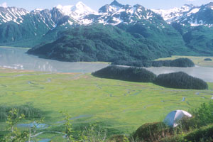 Tuxedni Bay on the coast of Lake Clark National Park and Preserve.