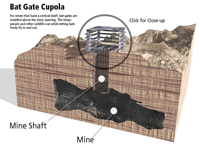 Cutaway showing a mine shaft in leading down into the earth.