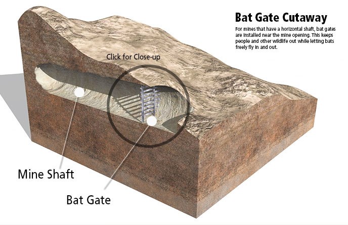 Cutaway showing a horizontal mine shaft underground.