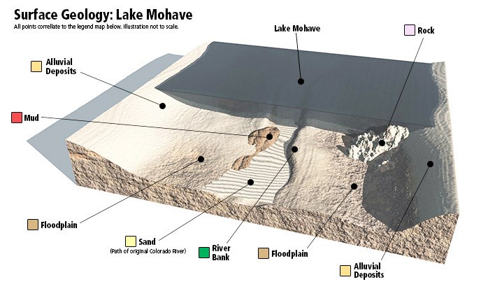 3D diagram of a cut-away showing the sediment levels of Lake Mohave since its impoundment.