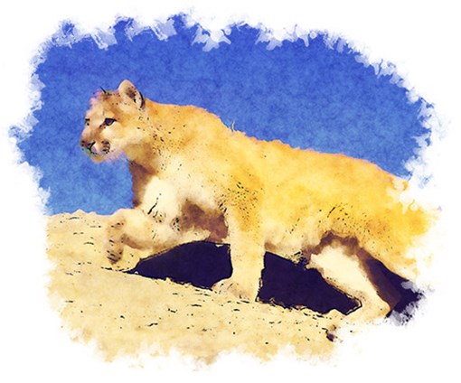 Painting of a Mountain Lion
