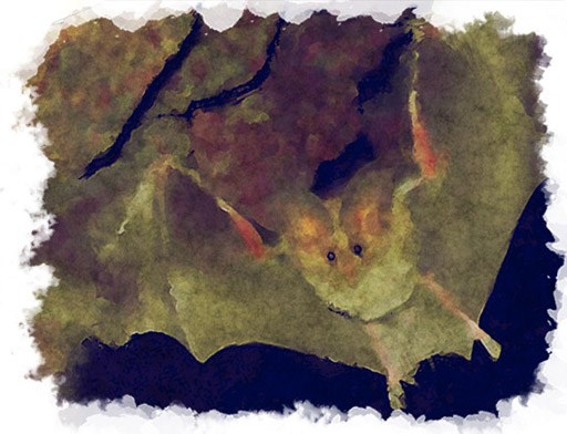 Painting of a Flying Bat