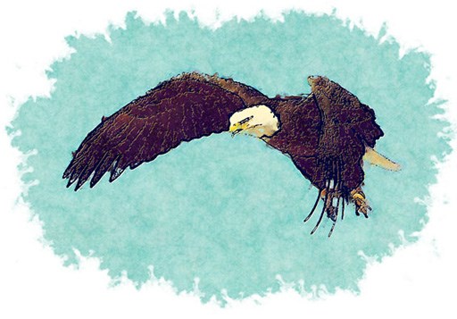 Painting of an American Bald Eagle
