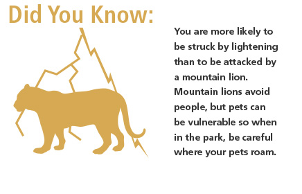 Facts about wild animals