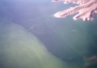 Green Algae on Lake Mead