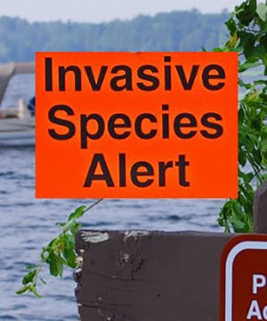 An orange warning sign states "Invasive Species Alert" with a lake and boat in the background.