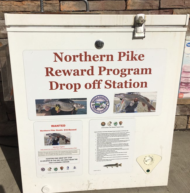 White cooler labeled Northern Pike Reward Program Drop off Station.