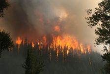 Running Crown Fire