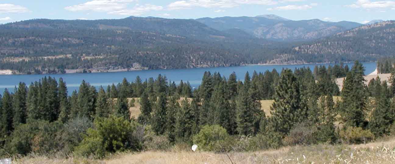 Middle of the lake. Wide view of lake with pine trees and hills beyond the lake.