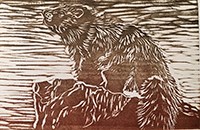 Woodblock print of a marmot