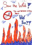 junior ranger poster