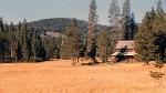 1987- Lodge