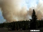 Bluff Wildland Fire Use