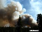 Bluff Wildland Fire Use