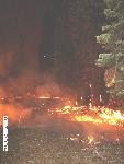 Bluff Wildland Fire Use creeping around at night