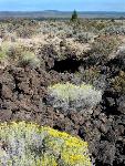 Lava Beds: Explore caves and sweeping views