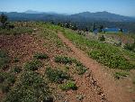 Mt. Harkness trail