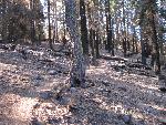 Crags Lake Trail