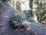 Mill Creek Falls Trail