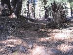 Mill Creek Falls Trail
