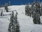 Fresh powder
