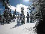 A beautiful sunny day