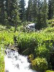 hiking trails