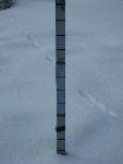 marker and wildlife tracks